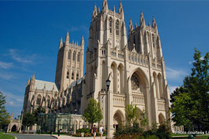 Picture1